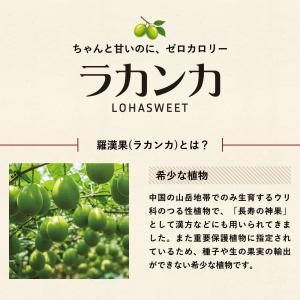 ラカンカ 800g エリスリトール配合 糖類ゼ...の詳細画像2