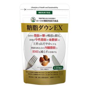 糖脂ダウンEX 120粒入り 30日〜60日分 機能性表示食品 ターミナリアベリリカ由来没食子酸 糖 脂肪 中性脂肪 血糖値 内臓脂肪
