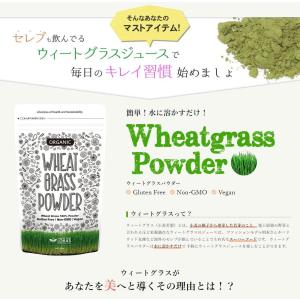 有機JAS認証 ウィートグラスパウダー 200...の詳細画像4