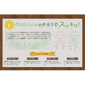 有機JAS認証 ウィートグラスパウダー 200...の詳細画像5