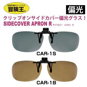 シマノ（SHIMANO） クリップオングラス TAC HG-019P （偏光グラス