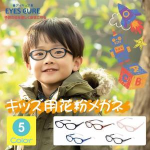AXE アックス アイキュア EC-101J こ...の商品画像