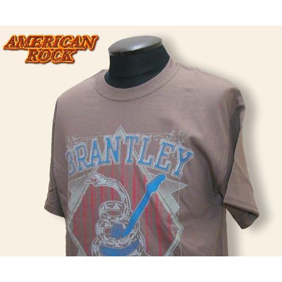 AMERICAN ROCK Tシャツ Brantley Gilbert ブラウン U.S.M/L