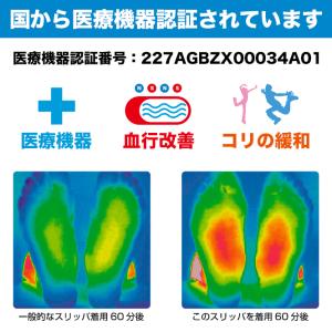 Colantotte aimant 履くだけで...の詳細画像1