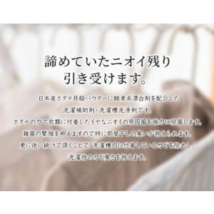 洗濯洗剤 ランキング 入り 洗濯補助剤 洗濯槽...の詳細画像1