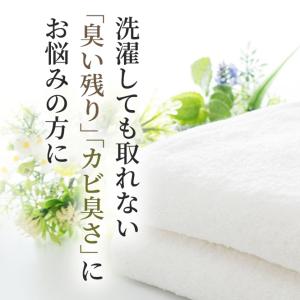 洗濯洗剤 ランキング 入り 洗濯補助剤 洗濯槽...の詳細画像2