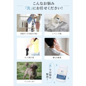洗濯洗剤 ランキング 入り 洗濯補助剤 洗濯槽...の詳細画像3