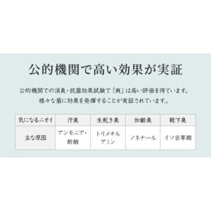 洗濯洗剤 ランキング 入り 洗濯補助剤 洗濯槽...の詳細画像5