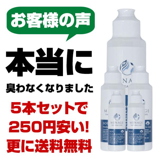 割引セール 5本セットで送料無料 さらに250円安い 足 靴 消臭 除菌 粉 入れておく 消臭グッズ...