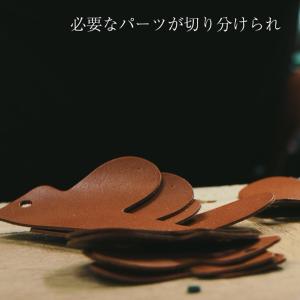 native creation マルチケース ...の詳細画像3