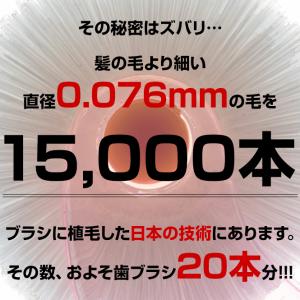 プラークリムーバー クルン 歯ブラシ 折り畳み...の詳細画像2