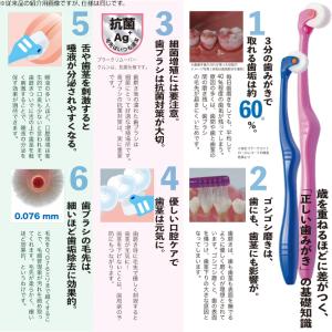 プラークリムーバー クルン 歯ブラシ 折り畳み...の詳細画像4
