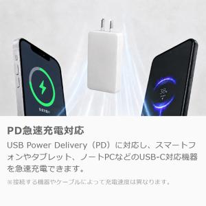 LOOF PD対応 65W 30W 20W A...の詳細画像5