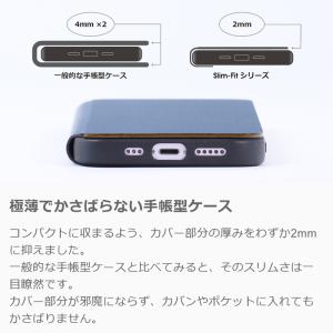 iPhone 17e 17 16e 16 iP...の詳細画像4