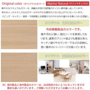 ルーター収納 カウンター下収納 幅45.5×奥...の詳細画像2