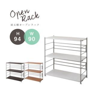 ワイヤーキューブシェルフ２個セット IRIS OHYAMA 収納 ラック おしゃれ 棚 収納棚 キューブ ワイヤー