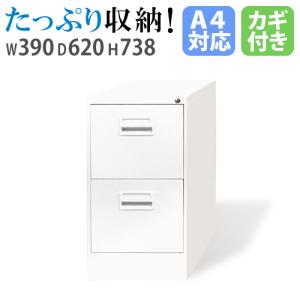 法人 送料無料  ファイリングキャビネット 2段 A4 鍵付き ラッチ付 オールロック式 仕切板 ホワイト ラテラル 整理ケース 書類収納 引き出し L-A4-2