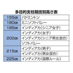 バドミントン支柱 ソフトバレー対応 差込式 ク...の詳細画像3