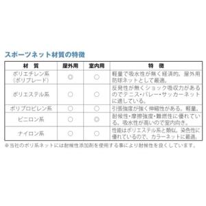 一般用サッカーゴールネット 2枚セット 角目1...の詳細画像2