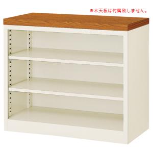 法人限定 オープン書庫 幅880 戸棚 キャビネット オープンラック 備品ロッカー 書庫 書棚 ラック 収納 会社 学校 教室 病院 スチール 塾 事務所 BER-ST5(N)
