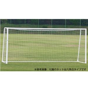 法人限定 サッカーゴール アルミ製ゴール 少年用サッカーゴール 六角ネットセット ネット付サッカーゴール 少年サッカー スポーツ施設 教育施設 S-4848
