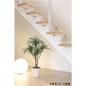 ユッカ 90cm 幅55×奥行55×高さ90c...の詳細画像1