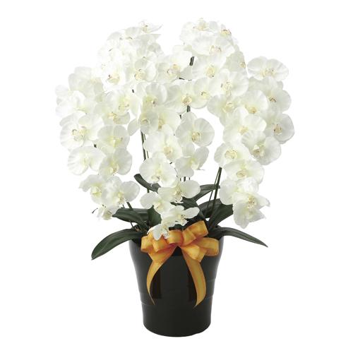 胡蝶蘭 5本立 幅50×奥行45×高さ75cm 人工植物 光触媒 造花 インテリアグリーン お祝い ...