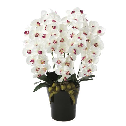 胡蝶蘭 5本立 幅50×奥行45×高さ75cm 人工植物 光触媒 造花 インテリアグリーン お祝い ...