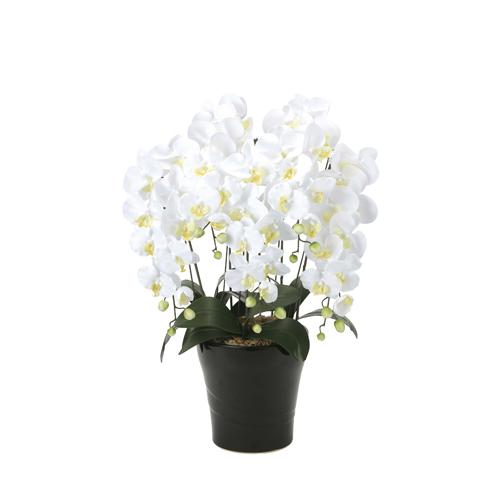 胡蝶蘭 5本立 幅53×奥行50×高さ74cm 人工植物 光触媒 造花 インテリアグリーン お祝い ...