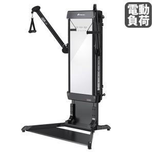 組立設置無料 ヒップアブダクション/アダクション アダクションマシン