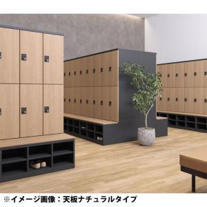 設置無料 収納付きベンチ RLKシリーズ 下段...の詳細画像1