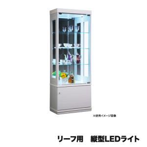 ファミリア2 ガラスショーケース ファミリアⅡ平ケース納品│ガラスショーケースならチヨダディステム