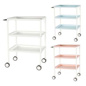 アール・エフ・ヤマカワ 法人限定 ファイルワゴン 2段 カルテワゴン 幅