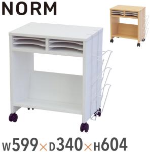 アール・エフ・ヤマカワ 法人限定 ファイルワゴン 2段 カルテワゴン 幅