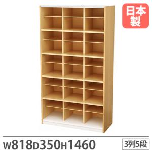 法人限定 靴箱 3列5段 幅818×奥行350×...の商品画像