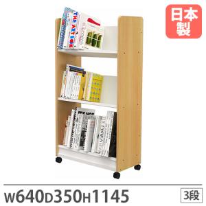 アール・エフ・ヤマカワ 法人限定 ファイルワゴン 2段 カルテワゴン 幅