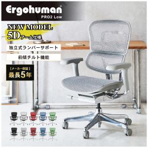 エルゴヒューマン（Ergohuman） エルゴヒューマンプロ2 ハイタイプ 