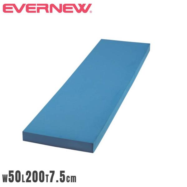 ロングビート板 エバニュー 幅50×長さ200×厚さ7.5cm ポリエチレンフォーム 水泳補助具 大...