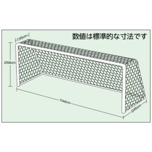 サッカーゴールネット 一般 2枚1組 エバニュ...の詳細画像1