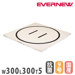 土俵マット エバニュー 幅300×長さ300×厚さ5cm 円内径280cm 抗菌 防臭 9号帆布 合成スポンジ 日本教材備品協会安全基準適合品 相撲練習マット 日本製 EKM503