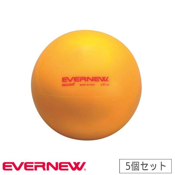 体つくり運動ボール 5個セット エバニュー 最大時直径21cm PVC製 空気入れ用長針付 トレーニ...