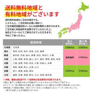 パーソナルロッカー 10人用 スリム 1列10...の詳細画像1