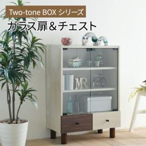 ファミリア2 ガラスショーケース ファミリアⅡ平ケース納品│ガラスショーケースならチヨダディステム