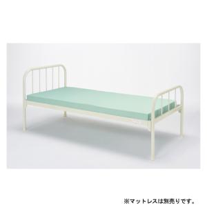 KOKUYO（コクヨ） 病院 クリニック 企業 学校向け 業務用 一般ベッド 