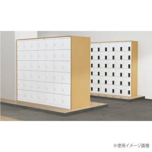 法人限定 シューズボックス ライオン事務器 M...の詳細画像1