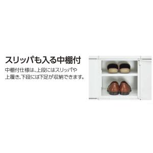法人限定 シューズボックス ライオン事務器 M...の詳細画像4