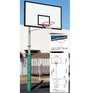 法人限定 バスケットゴール 単柱式 ジュニア用 校庭 グラウンド バスケット用品 部活動 公園 備品 設備 スポーツ用品 ゴール 埋込式 固定式 S-4817