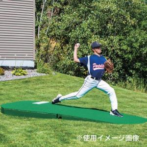SANWA TAIKU 法人限定 ポータブルピッチャーマウンド 屋内外兼用 SANWA TAIKU 法人限定 ポータブルピッチャーマウンド 屋内外兼用