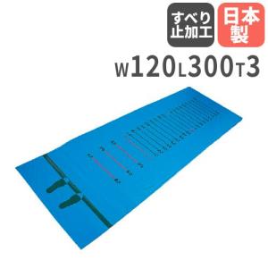 TOEI LIGHT（トーエイライト） カラー大玉 直径100cm 大玉 大型ボール