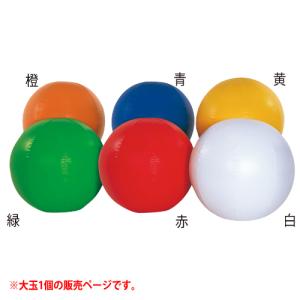 TOEI LIGHT（トーエイライト） カラー大玉 直径100cm 大玉 大型ボール